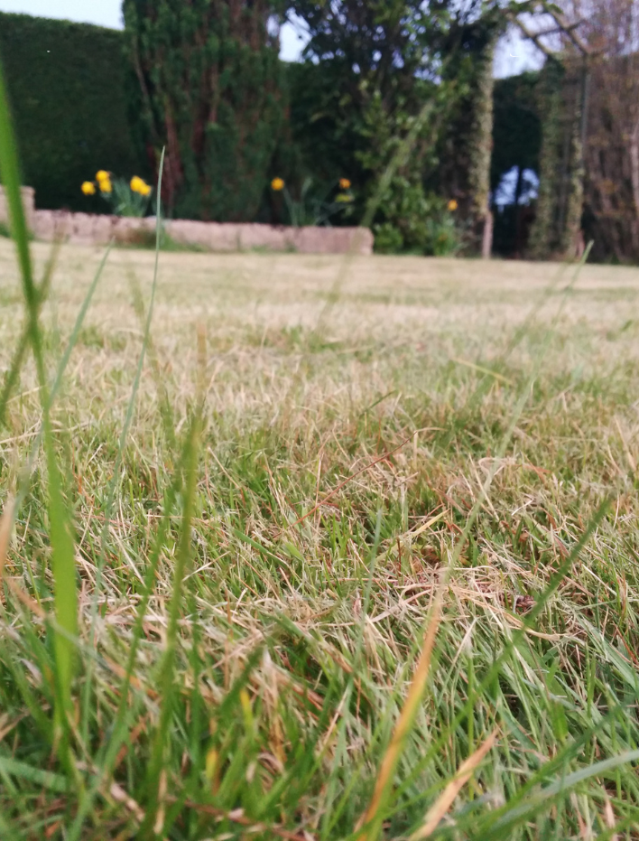 Garden Levelling Expert Dublin