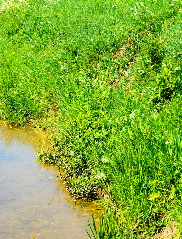 Land Drainage Specialist Dublin